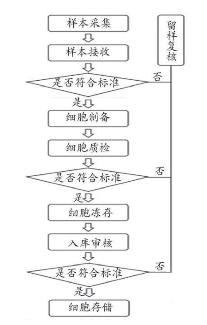 干細(xì)胞制備工作流程